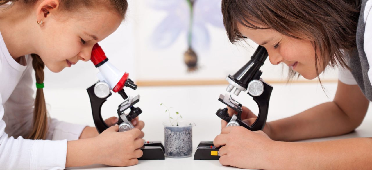 микроскопы детские в Южно-Сахалинске
